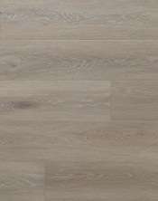 Amaron TAMPA OAK